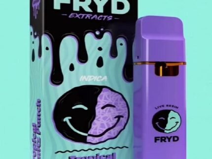 Tropical Runtz Punch Fryd Disposable – 2G Indica Live Resin