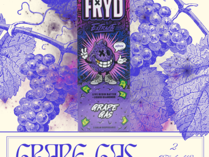 Grape Gas Fryd Disposable - 2G Indica Vape